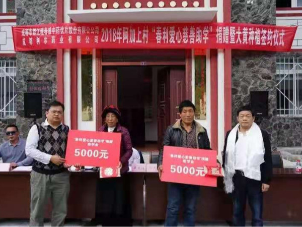春盛中藥愛心慈善助學捐贈暨大黃種植簽約儀式在康定舉行