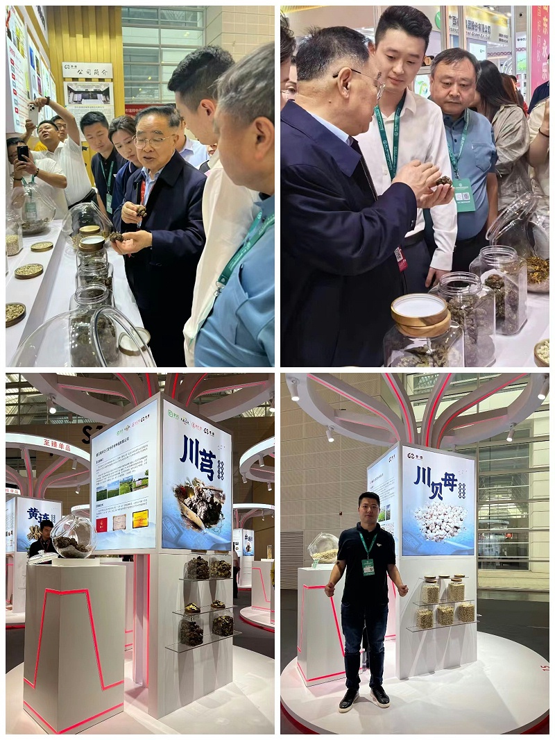 拼圖