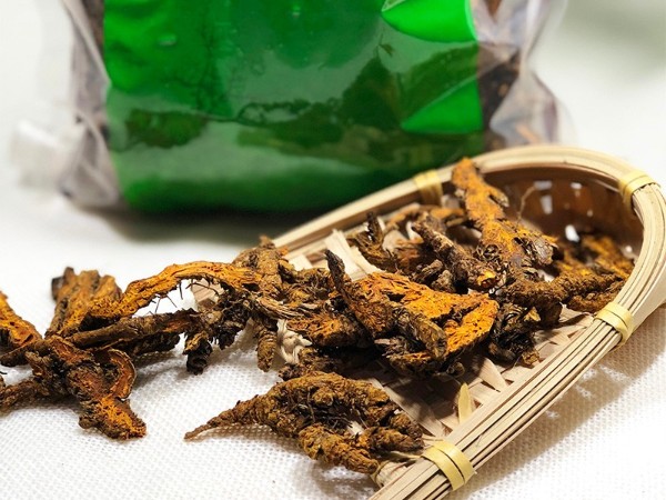 中藥飲片-黃連